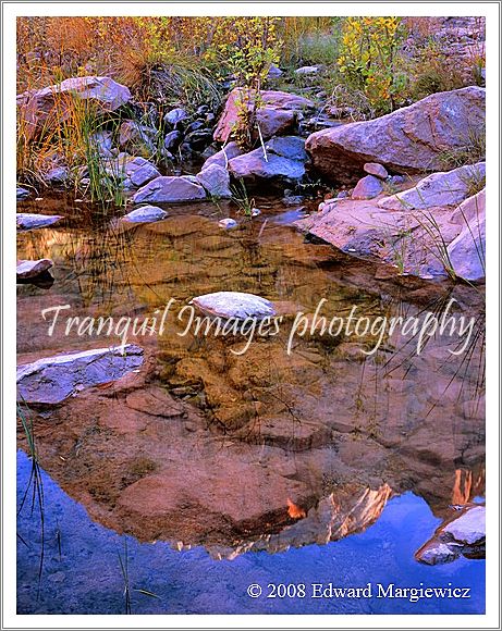 450539A   Mountain reflections in Zion